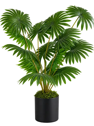 Artificial Fan Palm Plant, 75 cm Tall, with 18 Leaves, in Black Pot