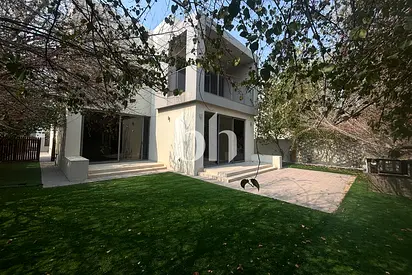 Multiple Cheques | Single Row | Large Plot