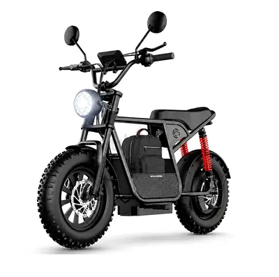 Wind Horse Electric Bike 750W 50KM Range 32KM Speed, D1