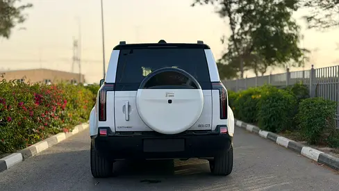 Rox 01 VIP 2026 | Brand New | Luxury 6-Seater | Chinese Specs-3