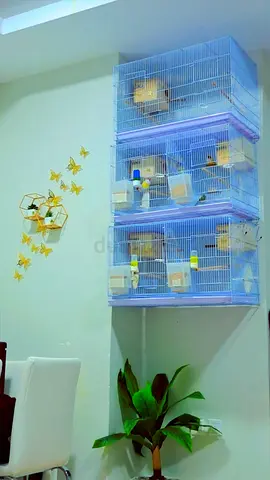 Two wall-mounted bird cages with feeders and perches