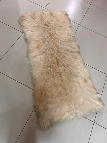 Genuine Cream Sheepskin Rug - Soft Long Pile, 2x0.8m (Approx)