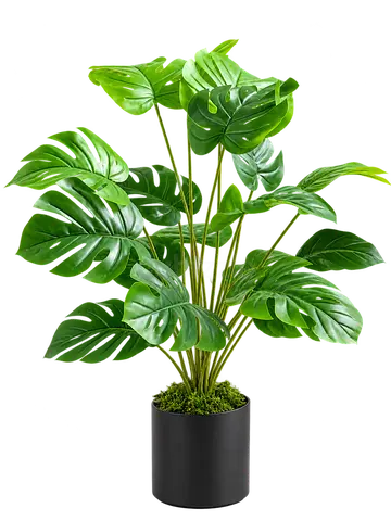 Artificial Hollow Monstera Plant, 75 cm Tall with 18 Leaves, in Black Pot