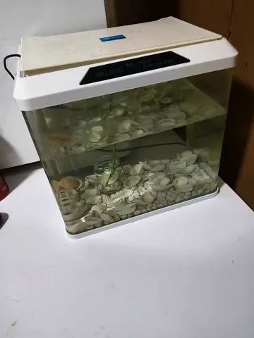 Small white tabletop aquarium with LED light - good condition