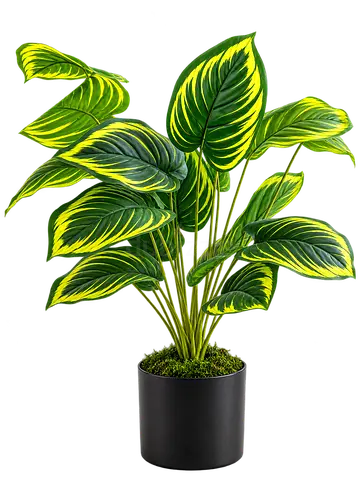 Artificial Lines Monstera Plant, 75 cm with 18 Leaves in Black Pot