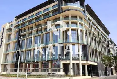 Duplex 2BR| Stunning Layout| Ready to Move