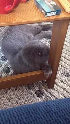 Adoption