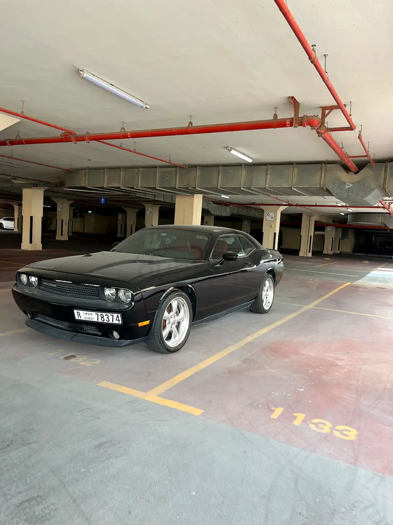 gallery-image