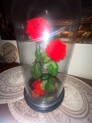 Decorative Red Roses in Glass Dome Display (Forever Rose)