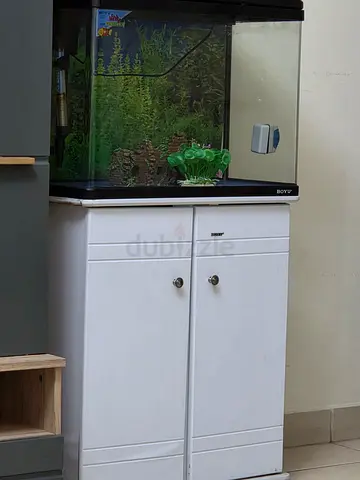 Aquarium