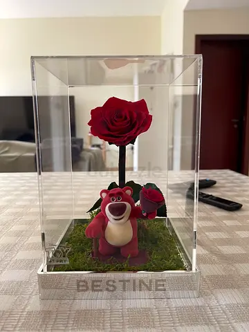 Disney Pixar Toy Story – Lotso Rose Display 🌹