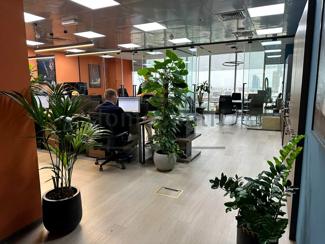 gallery-image