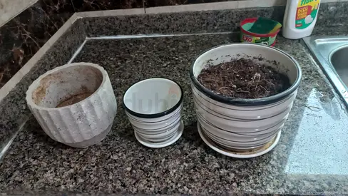 PLANT POTS FOR SALE
