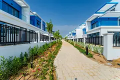 On Green Belt | Genuine | Tenanted | Close to Park