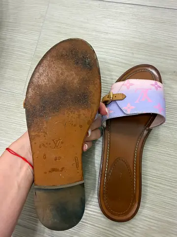 Louis Vuitton Monogram Gradient Slides