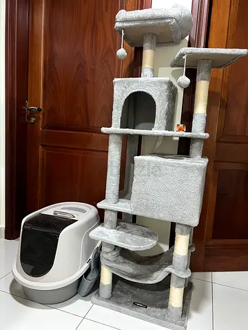 Cat accessories and free cat