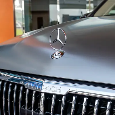 2021 Mercedes-Maybach GLS-CLASS — фото 17