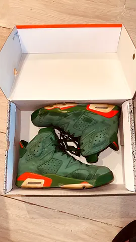 Jordan 6 retro Gatorade green