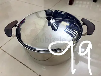Large stainless steel pot