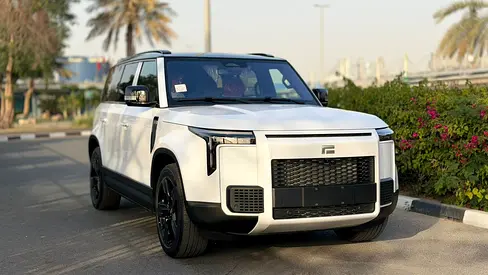 Rox 01 VIP 2026 | Brand New | Luxury 6-Seater | Chinese Specs-2