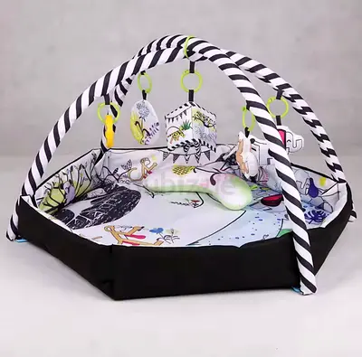 Baby Gym Mat - Affordable and Child Friendly Play Mat