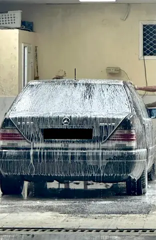 صورة 10 لـ 1995 Mercedes-BENZ S-CLASS