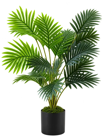 80 cm Artificial Feather Palm with 18 Leaves, Potted