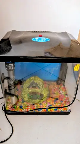 Aquarium with additional features for sale