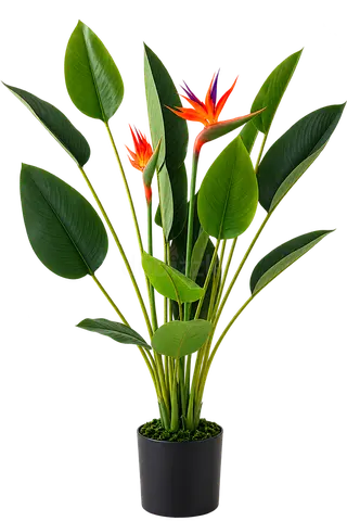 Tall artificial bird of paradise plant in black pot — perfect living room décor