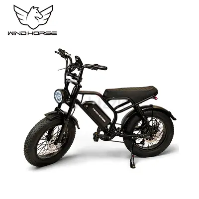 Wind Horse V8 Mini Electric Bike, 750W, V8 Mini