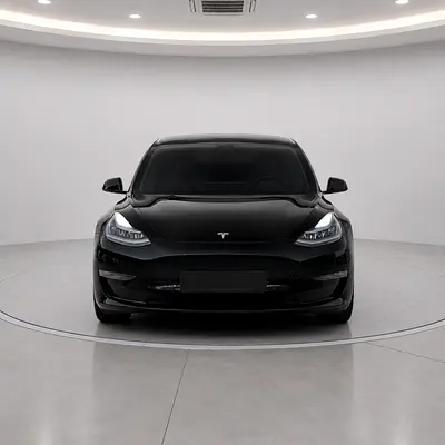 2021 Tesla MODEL 3 照片 3