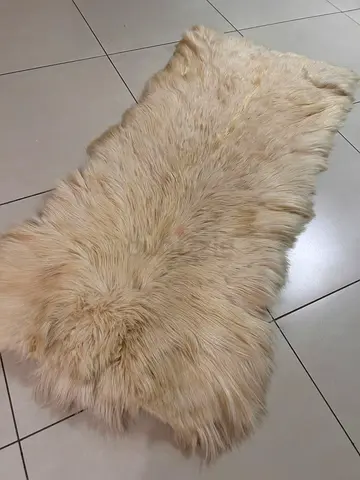 Genuine Cream Sheepskin Rug - Soft Long Pile, 2x0.8m (Approx)