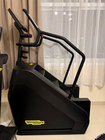 Technogym CLIMB LIVE 16 P Professional Climber