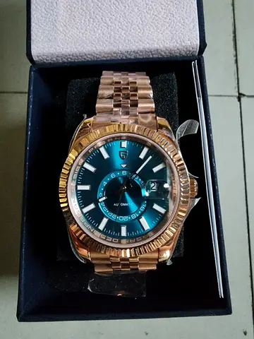 pagani design PD-1888 men's watch brand new