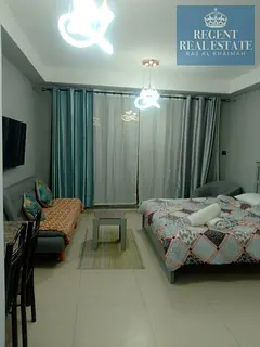 Highly Upgraded Furnished Studio Apart l Monthly
