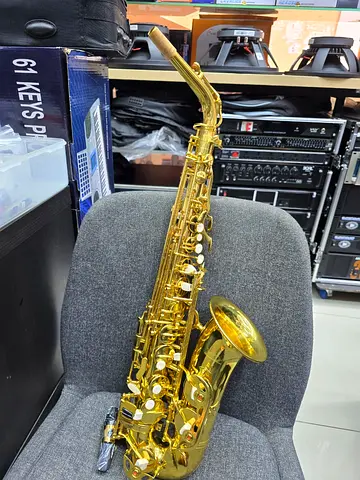 Saxophone Alto Brand new