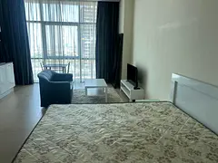 Vacant ,Furnished ready to Move Studio opp Metro