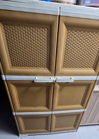 Plastic Storage Cabinet with Shelves for URGENT SALE