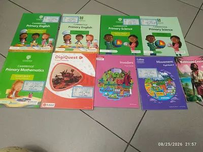 Year 4 books