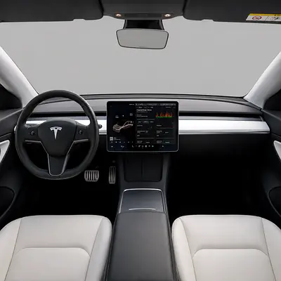 2021 Tesla MODEL 3 缩略图 18