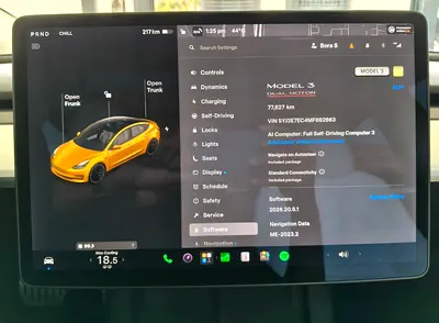 2021 Tesla MODEL 3 缩略图 13