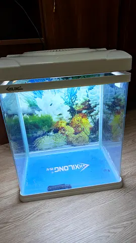 Compact Glass Fish Tank with LED Lighting and Filters