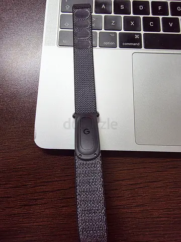 Google Fitbit Air