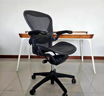 Herman Miller Ergonomic Mesh Office Chair (Adjustable, Good Condition)