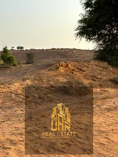 Residential Plot 2,506 Sqft in Al Balida 2 – Near Park & Mosque – AED 410K