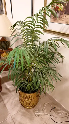 10 Artificial plants with pots incl. tall palm, orange tree, smaller green/floral pots - table decor