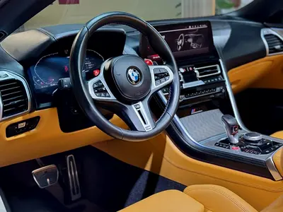 2023 BMW M8 photo 6