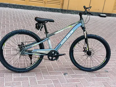 Golden 24-inch Mountain Bike