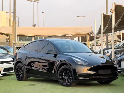 Tesla Model Y 2022 low mileage