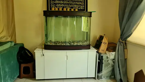 Large Glass Aquarium with Cabinet - Ready for Fish Size 100L x 80H x 45D cm